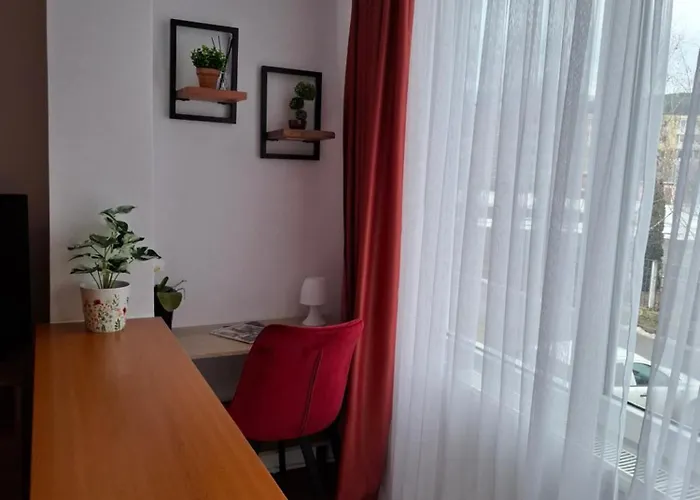 Aleea Minerva 公寓 布拉索夫