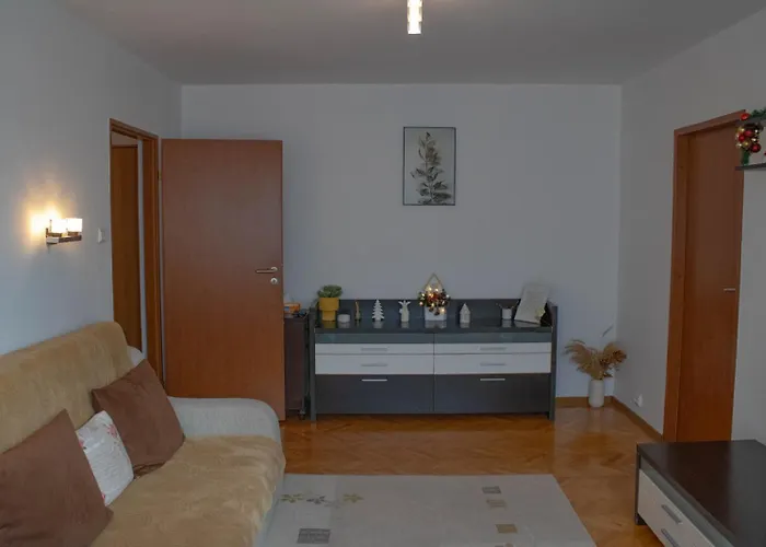 Aleea Minerva 公寓 布拉索夫