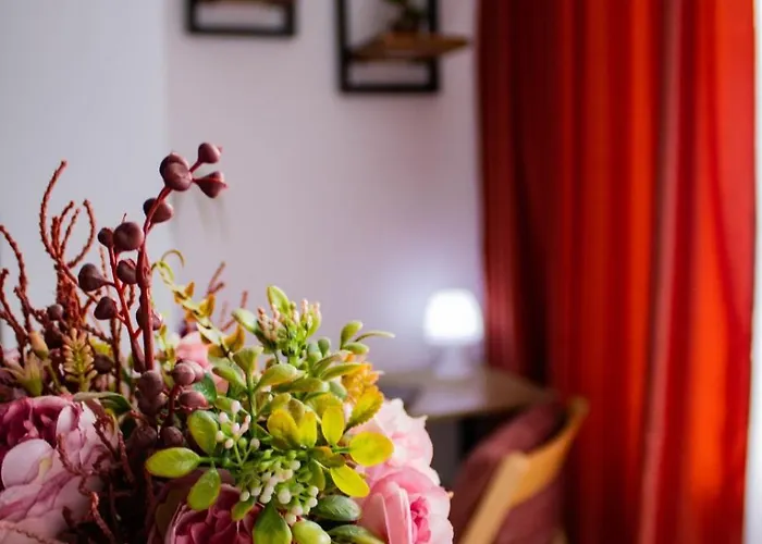 Aleea Minerva 布拉索夫