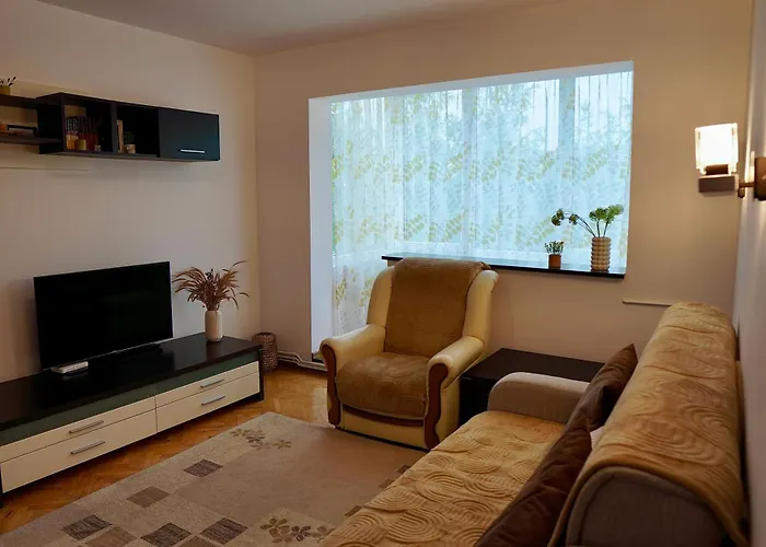 Aleea Minerva * 布拉索夫