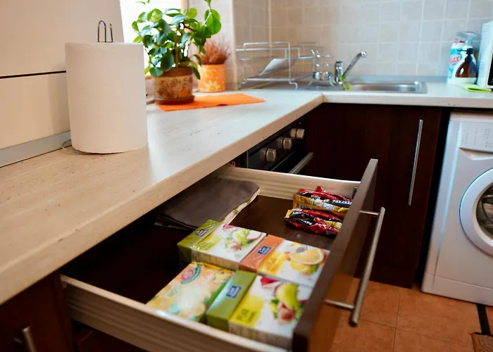 公寓 Aleea Minerva 布拉索夫