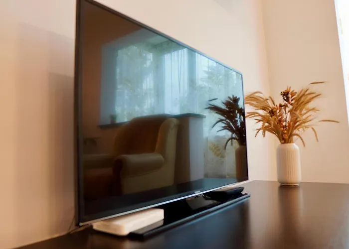 Aleea Minerva * 布拉索夫