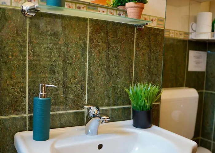 Aleea Minerva 公寓 布拉索夫