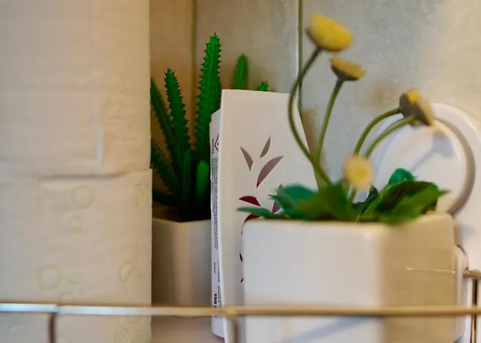 公寓 Aleea Minerva 布拉索夫